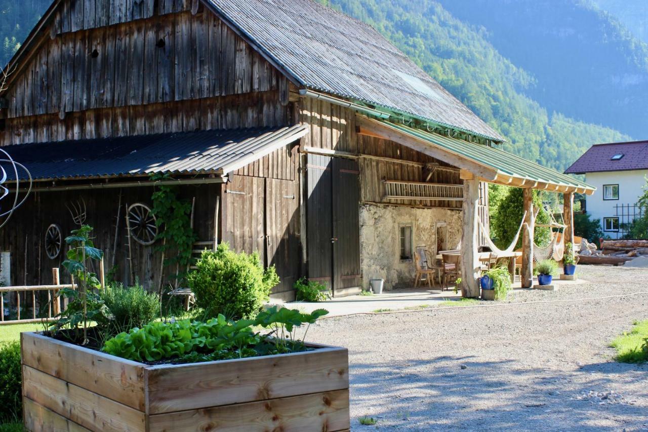 Chalet Am Sonnenhang Obertraun Exteriör bild